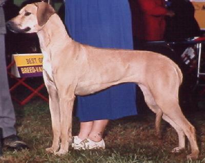 Nancy Showing