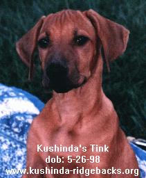 Kushinda Ridgeback